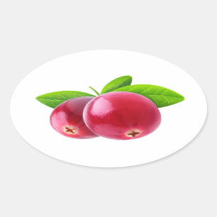 Two cranberries oval sticker