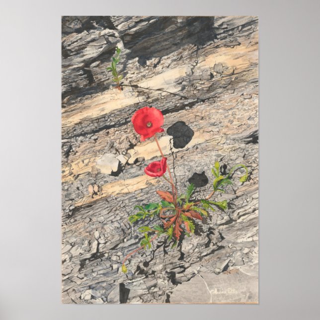 Two Crumbly Cretaceous Poster (Front)