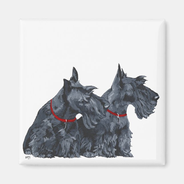 Two Curious Scottish Terriers Magnet (Front)