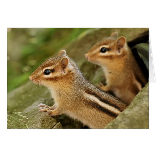 Two Cute Baby Chipmunks Card