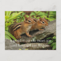 Two Cute Baby Chipmunks Friend Quote