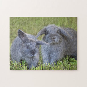 Two Cute Baby Grey Holland Lop Bunny Rabbits Jigsaw Puzzle