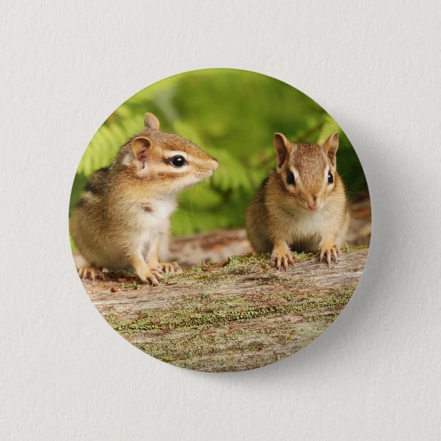 Two Cute Chipmunk Babies 6 Cm Round Badge (Front)