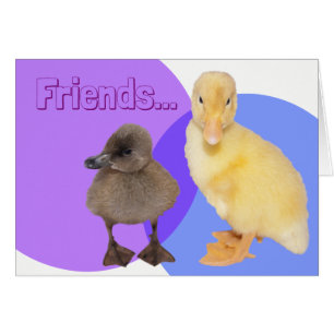 Two Cute Ducklings Photo Friends Custom Text