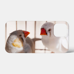 Two Cute Finch Birds in Cage iPhone 13 Mini Case