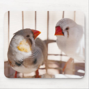 Two Cute Finch Birds in Cage Mouse Pad