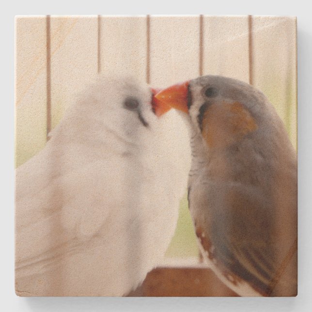 Two Cute Finch Birds in Cage Stone Coaster (Front)
