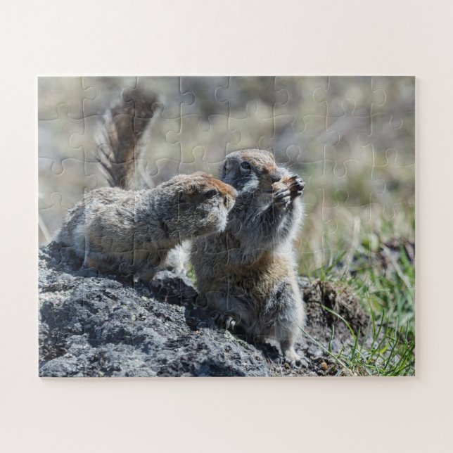 Two cute ground squirrels (gophers, evrazki) jigsaw puzzle (Horizontal)