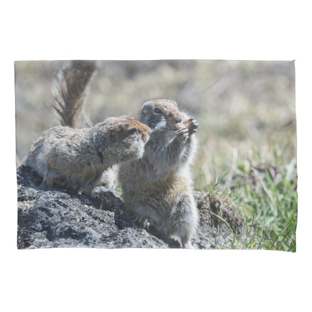 Two cute ground squirrels (gophers, evrazki) pillowcase (Front)