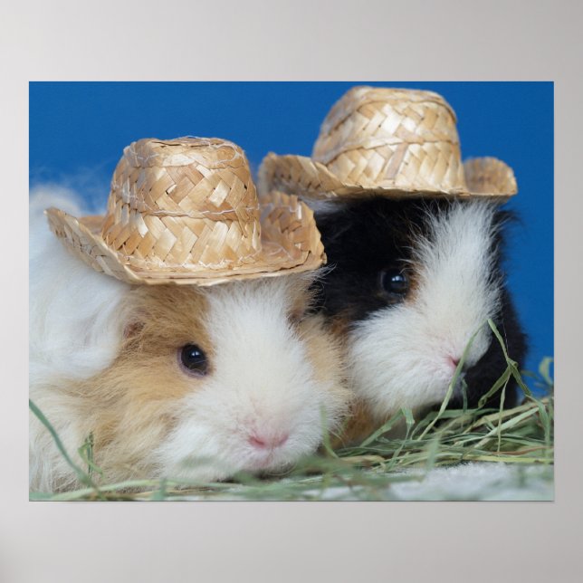 Two Cute Guinea Pigs Poster (Front)