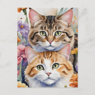 Two cute kitten faces postcard