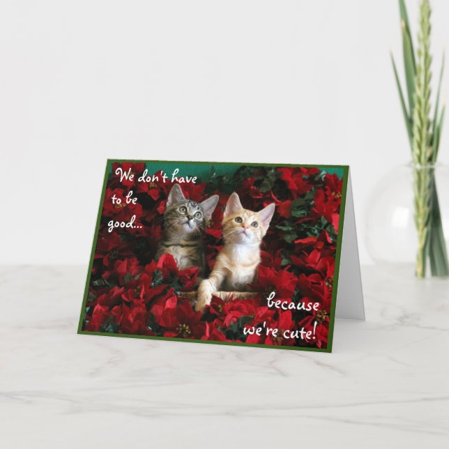 Two Cute Kittens and Red Poinsettias Card (Front)