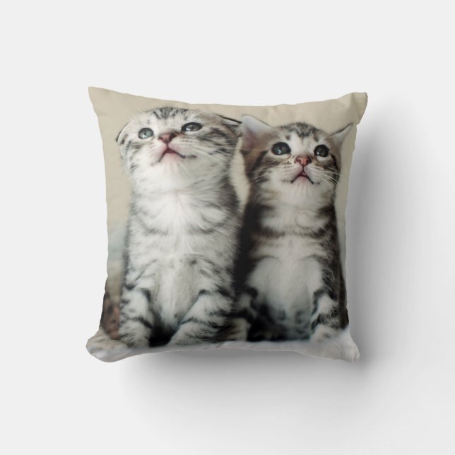 Two Cute Kittens Cushion (Front)