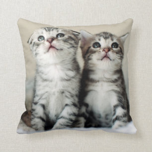Two Cute Kittens Cushion