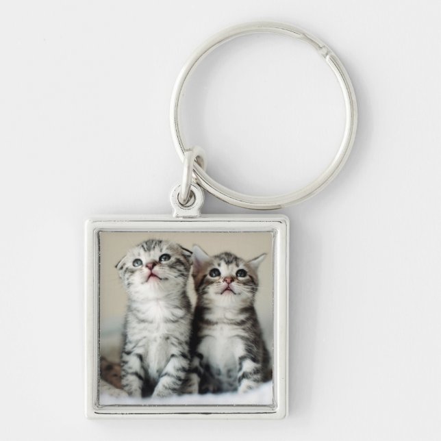 Two Cute Kittens Key Ring (Front)