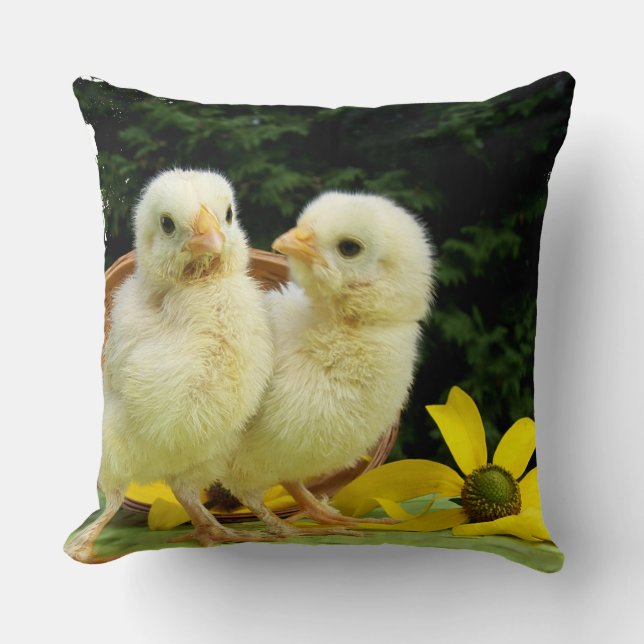 two cute little chick cushion (Front)