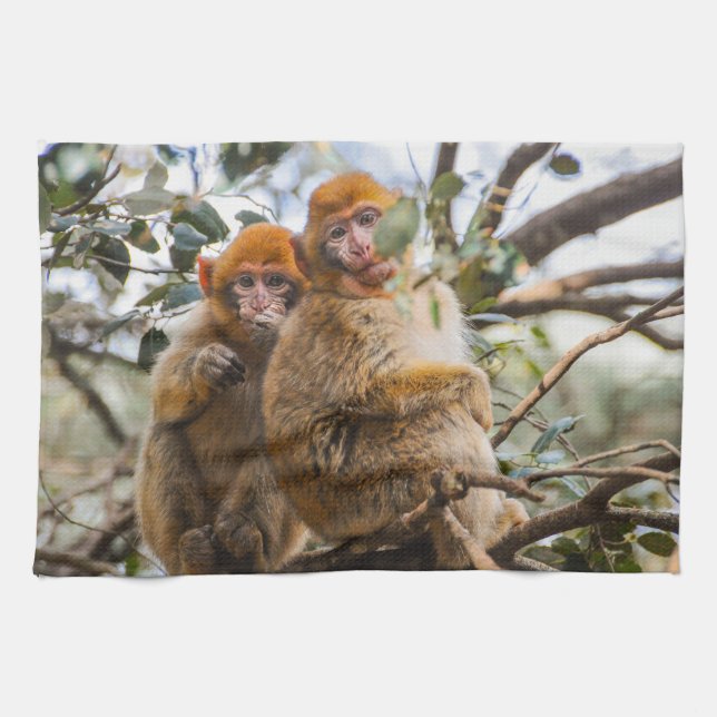 Two Cute Monkeys Tea Towel (Horizontal)