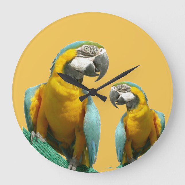 Two Cute Parrots Round Wall Clock (Front)