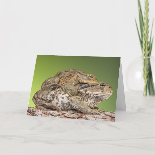 Two Cute Toads Card (Front)