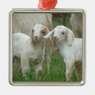 Two Cute White Baby Goats Metal Tree Decoration