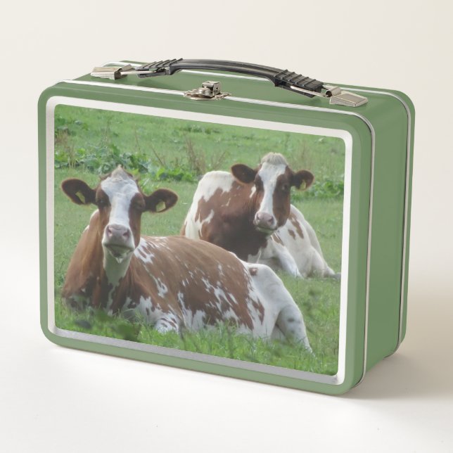 Two Cute White-Brown Cows Lunchbox (Front)
