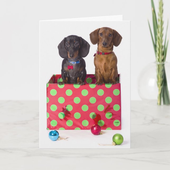 Two Dachshund Puppies Holiday Card (Front)