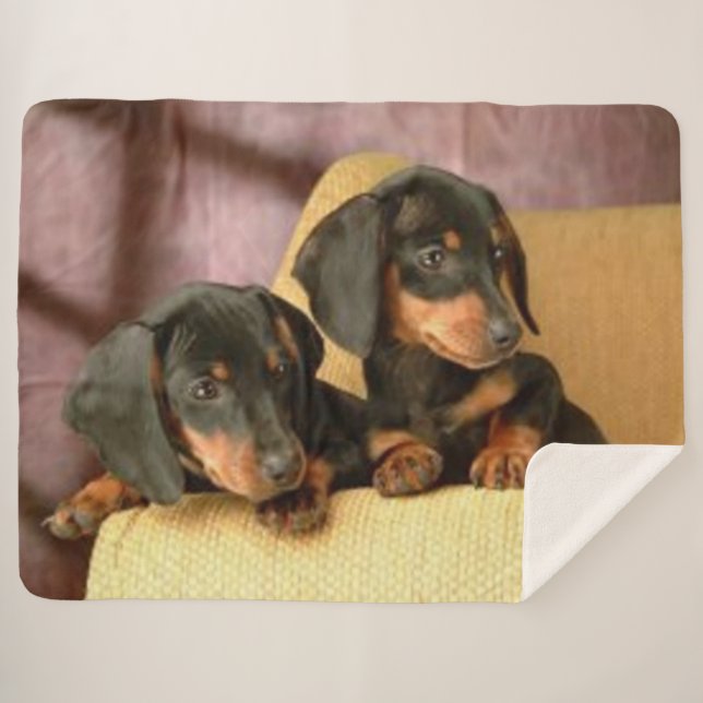 TWO DACHSUNDS SHERPA BLANKET (Front (Horizontal))