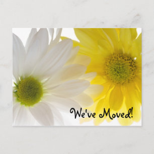 Two Daisies Change of Address Announcement Postcard