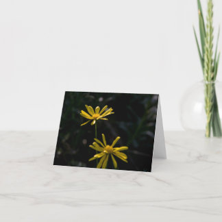 Two Daisy Flowers Card
