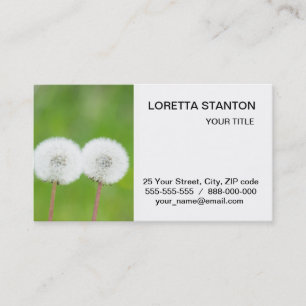 Two dandelions business card