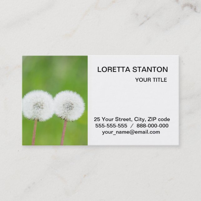 Two dandelions business card (Front)