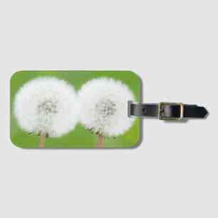 Two dandelions luggage tag