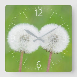 Two dandelions square wall clock