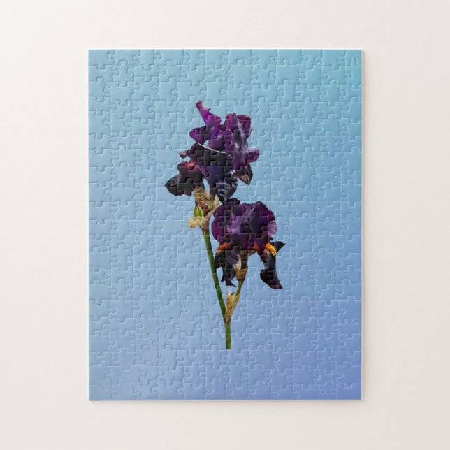 Two Dark Purple Irises Jigsaw Puzzle (Vertical)