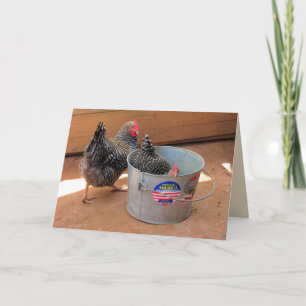 Two Darn Cute Chickens Card