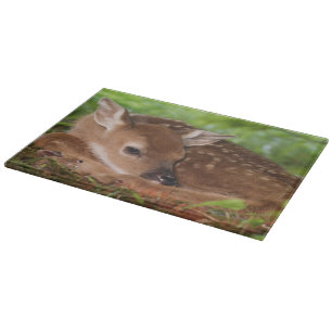 Two day old White-tailed Deer baby, Kentucky. Cutting Board