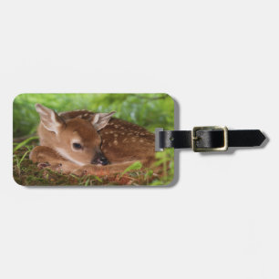 Two day old White-tailed Deer baby, Kentucky. Luggage Tag