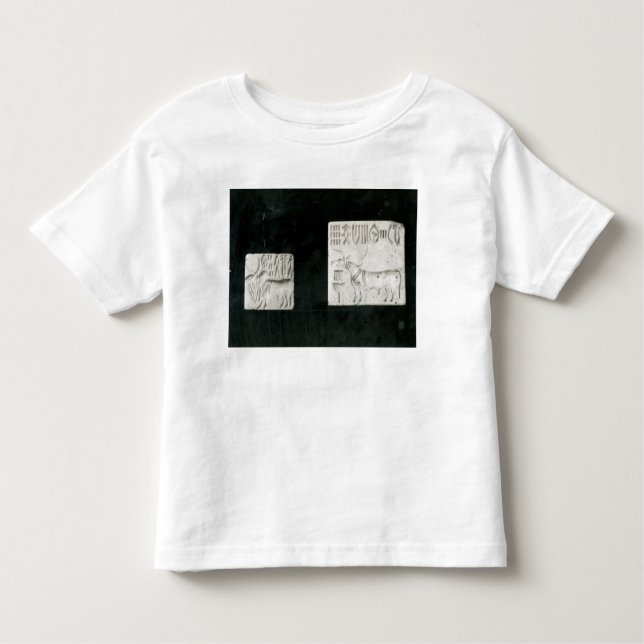 Two decorated seals depicting a zebu and a toddler T-Shirt (Front)