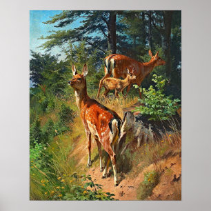 Two Deer And Cute Fawn In The Forest Poster