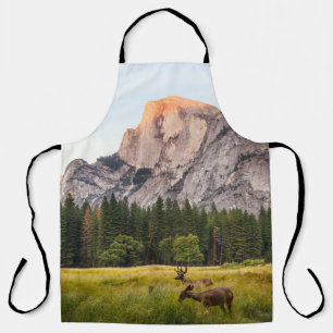 TWO DEER IN FRONT OF HALF DOME IN YOSEMITE VALLEY APRON