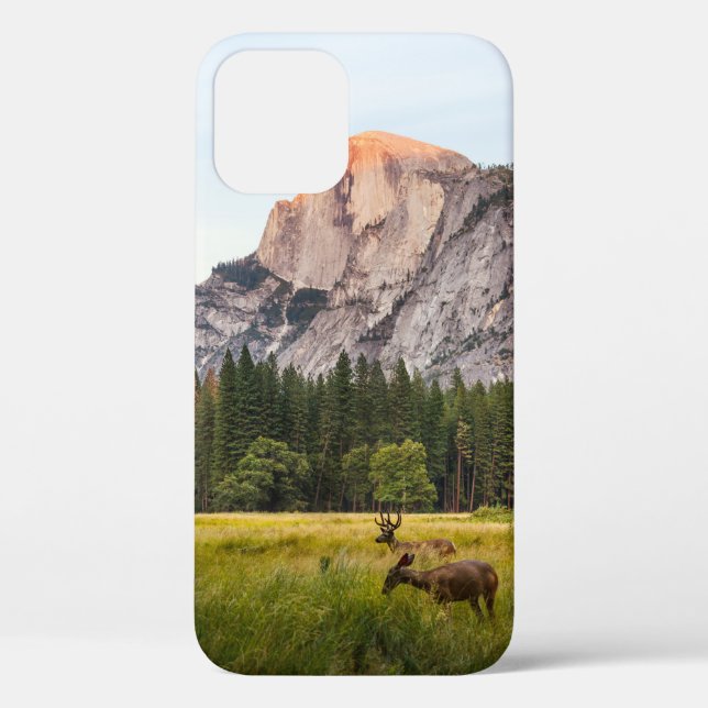 TWO DEER IN FRONT OF HALF DOME IN YOSEMITE VALLEY  Case-Mate iPhone CASE (Back)