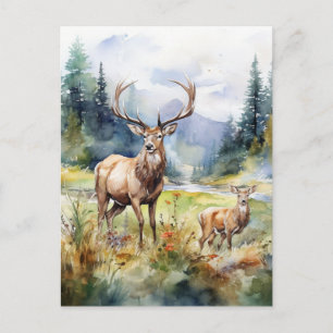 Two Deer Postcard