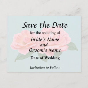 Two Delicate Pink Roses Announcement Postcard