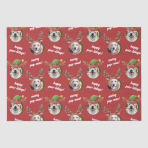 Two Dog Photo Reindeer Antler Merry Christmas Red Tissue Paper