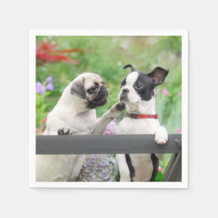 Two dogs a pug puppy and Boston Terrier together - Napkin