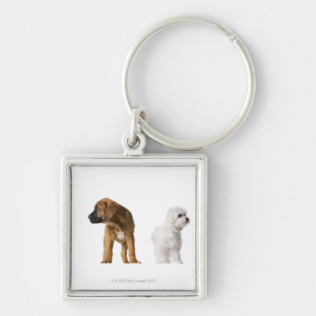 Two Dogs Key Ring (Front)