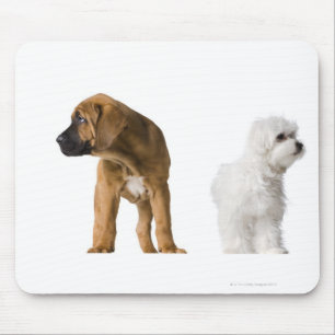 Two Dogs Mouse Pad