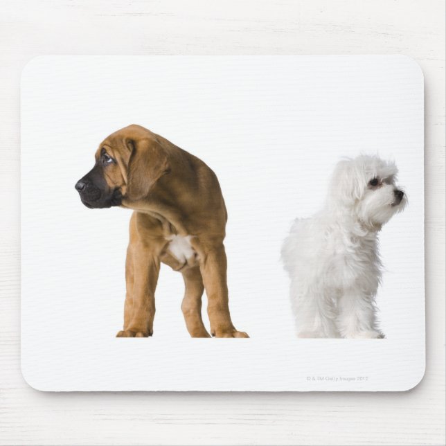Two Dogs Mouse Pad (Front)