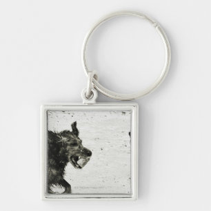 Two dogs playing on a beach. key ring