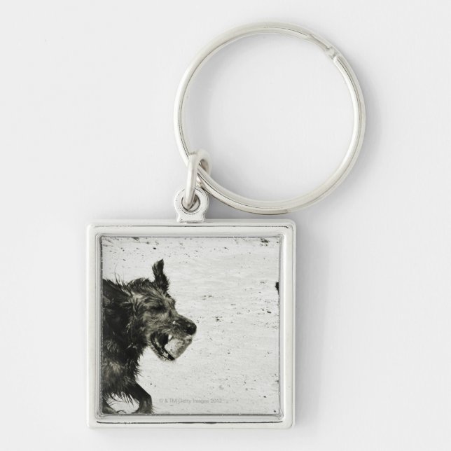 Two dogs playing on a beach. key ring (Front)